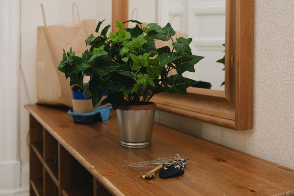 Entryway console with a plant, a mirror and keys by the front door, a natural spot for an organization zone