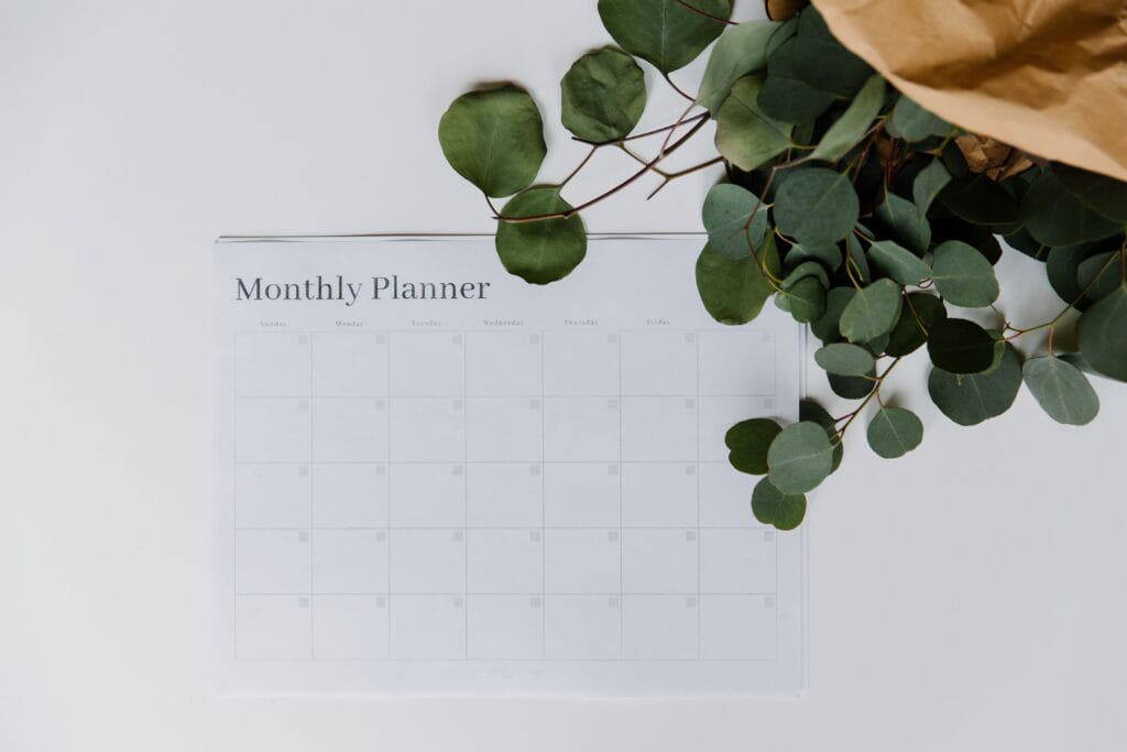Overhead view of a monthly planner paired with eucalyptus leaves on a white background.